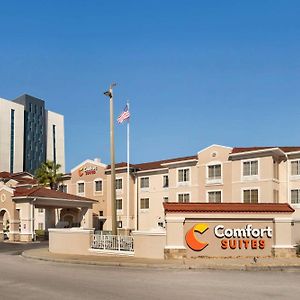 Comfort Suites Downtown